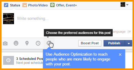 Facebook Audience Optimization